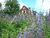2003_0703_134954AA.jpg